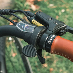 Fiido C11 Pro City Cargo E-bike Preorder EST availability 3 Weeks
