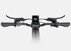 Engwe L20 3.0 Pro Electric Cargo Bike