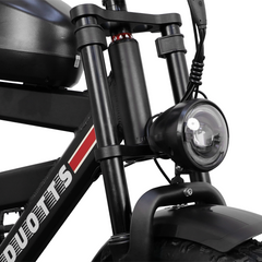 DUOTTS F20 upgraded Electric Cargo Bike - PREORDER - ETA NOVEMBER END.