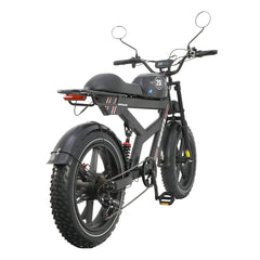 DUOTTS F20 upgraded Electric Cargo Bike - PREORDER - ETA NOVEMBER END.