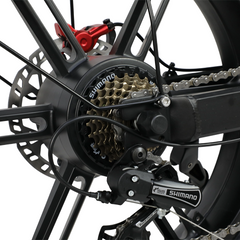 DUOTTS F20 upgraded Electric Cargo Bike - PREORDER - ETA NOVEMBER END.