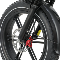 DUOTTS F20 upgraded Electric Cargo Bike - PREORDER - ETA NOVEMBER END.