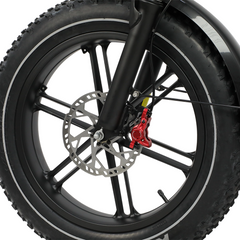 DUOTTS F20 upgraded Electric Cargo Bike - PREORDER - ETA NOVEMBER END.