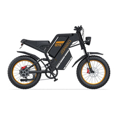 Coswheel GT20 Electric Cargo Bike