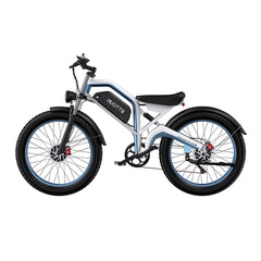 DUOTTS N26 Upgraded Electric Cargo Bike