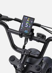 ENGWE M1 Dual Passenger Electric Cargo Bike