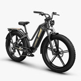 Fiido Titan Robust Cargo Electric Bike - PREORDER - ETA 4 WEEKS.