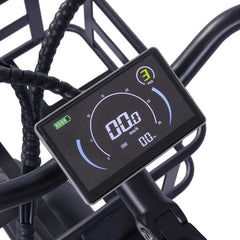 GOGOBEST GF200 Electric Cargo Bike