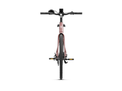 Heybike EC 1-ST Pedelec Electric Cargo Bike