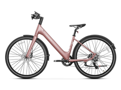 Heybike EC 1-ST Pedelec Electric Cargo Bike