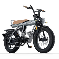 Coswheel CT20 Cargo Electric Bike - PREORDER - ETA SEPTEMBER END.