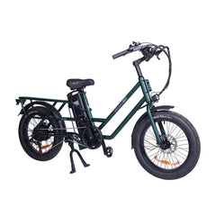 GOGOBEST GF200 Electric Cargo Bike