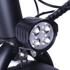 GOGOBEST GF200 Electric Cargo Bike