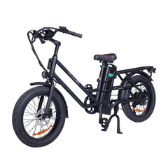 GOGOBEST GF200 Electric Cargo Bike