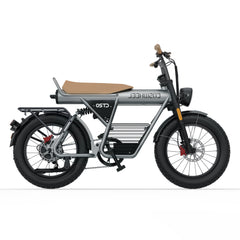 Coswheel CT20 Cargo Electric Bike - PREORDER - ETA SEPTEMBER END.