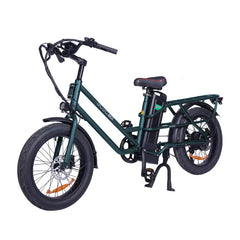GOGOBEST GF200 Electric Cargo Bike