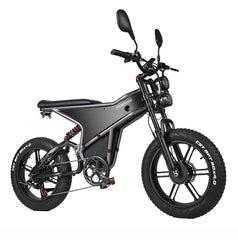 RANDRIDE DM711 Dual Motor Electric Cargo Bike - PREORDER - EXPECTED IN SEPTEMBER.