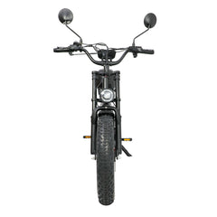 DUOTTS F20 upgraded Electric Cargo Bike - PREORDER - ETA NOVEMBER END.