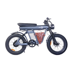 BEZIOR XF006 Electric Cargo Bike