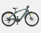 ENGWE MapFour N1 Pro Electric Cargo Bike