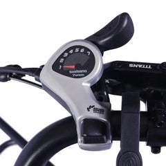 GOGOBEST GF200 Electric Cargo Bike