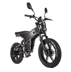 RANDRIDE DM711 Dual Motor Electric Cargo Bike - PREORDER - EXPECTED IN SEPTEMBER.