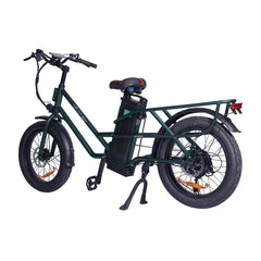 GOGOBEST GF200 Electric Cargo Bike