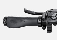 Engwe L20 3.0 Boost Electric Cargo Bike