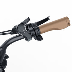 Coswheel CT20 Cargo Electric Bike - PREORDER - ETA SEPTEMBER END.