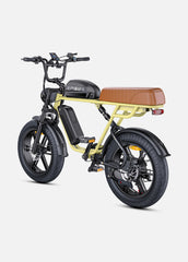 ENGWE M1 Dual Passenger Electric Cargo Bike