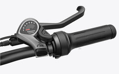 Wallke H9 AWD Electric Cargo Bike