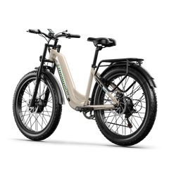 Shengmilo S700 1000W*2 Dual Motor Electric Cargo Bike - PREORDER - EXPECTED IN SEPTEMBER.