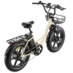 Eletronbike OC20 Electric Bike