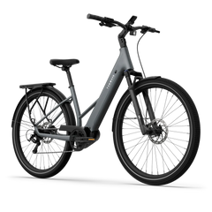 TENWAYS AGO AIR HYBRID Electric Cargo Bike