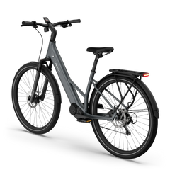 TENWAYS AGO AIR HYBRID Electric Cargo Bike