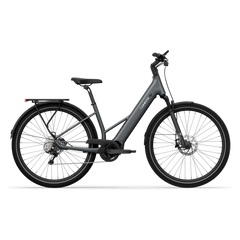TENWAYS AGO AIR HYBRID Electric Cargo Bike