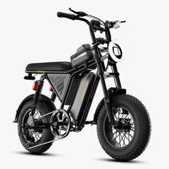 Bodywel M16 Pro Electric Bike