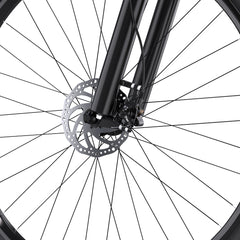 DUOTTS C29 Pro Electric Mountain Bike - PREORDER - ETA SEPTEMBER END.