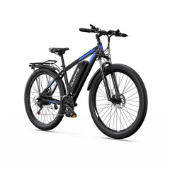 DUOTTS C29 Electric Bike