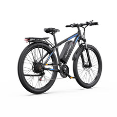 DUOTTS C29 Electric Bike