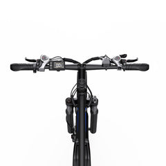 DUOTTS C29 Electric Bike