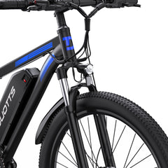 DUOTTS C29 Electric Bike
