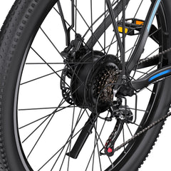 DUOTTS C29 Electric Bike