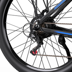 DUOTTS C29 Electric Bike
