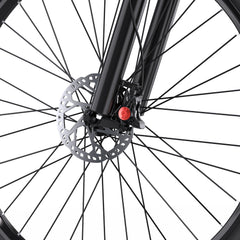DUOTTS C29 Electric Bike