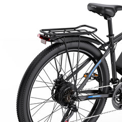 DUOTTS C29 Electric Bike