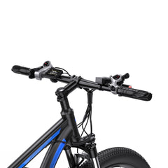 DUOTTS C29 Electric Bike