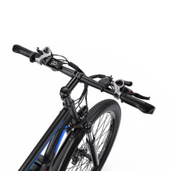DUOTTS C29 Electric Bike