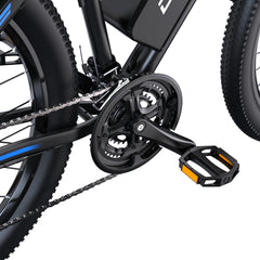 DUOTTS C29 Electric Bike