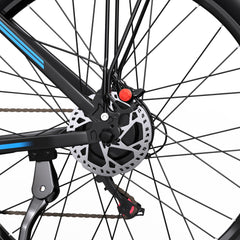 DUOTTS C29 Electric Bike